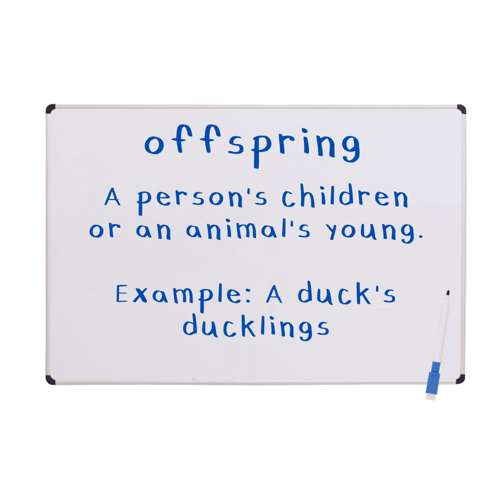 A whiteboard shows step 2 of decodable text routine: preteaching vocabulary and building background knowledge. A word is shown with a definition and example. 