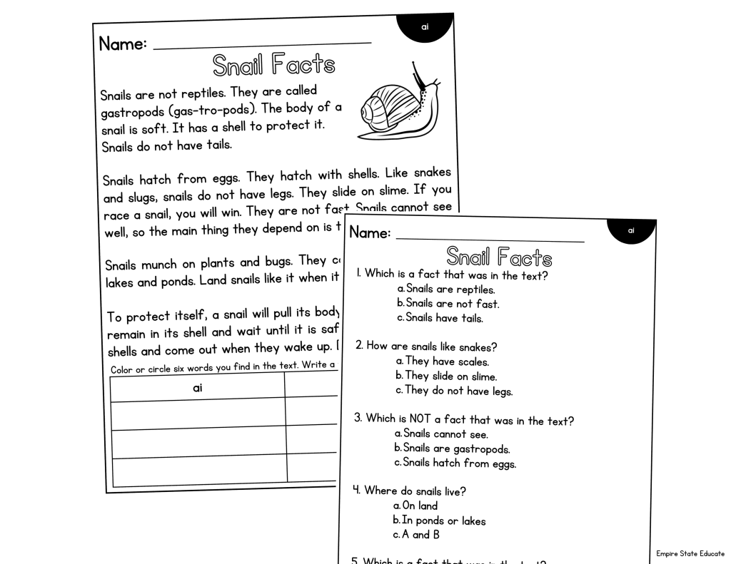 Printable decodable passages for older students with comprehension questions.