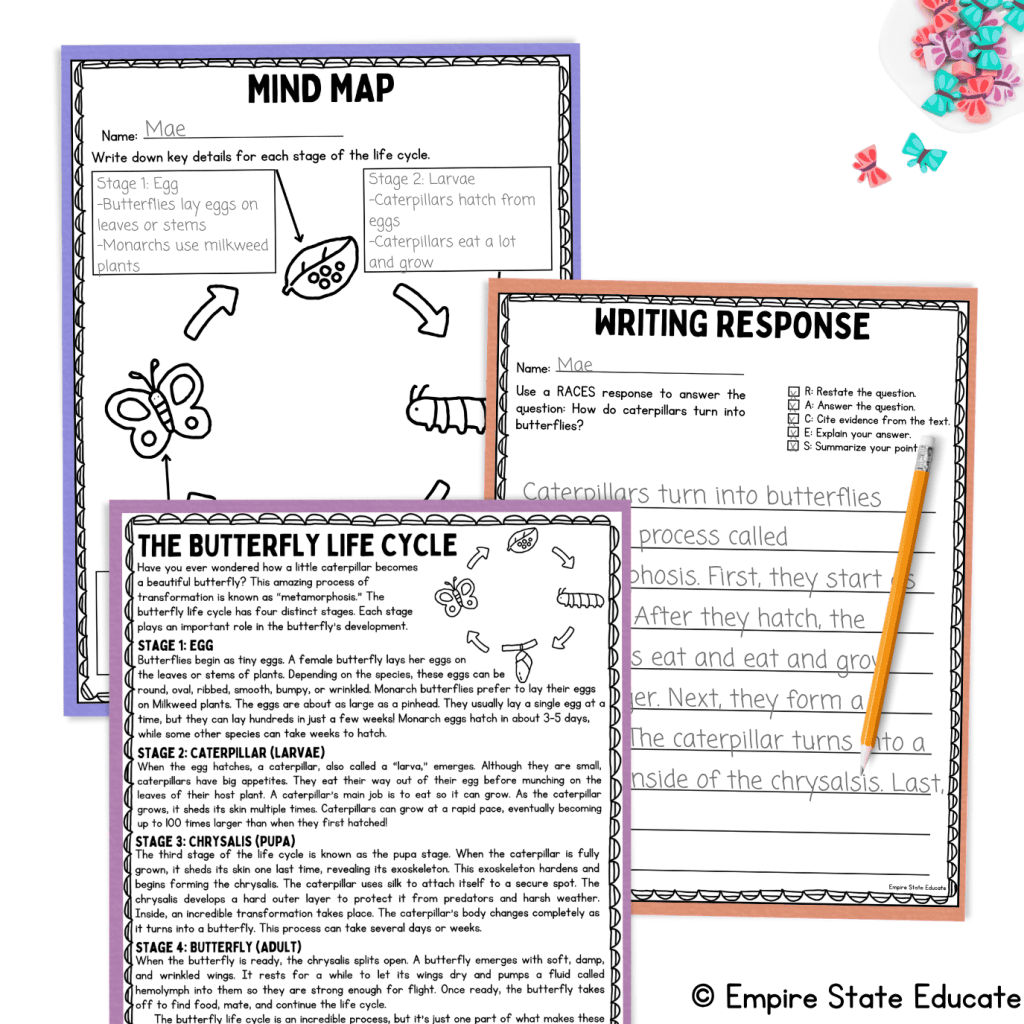 Nonfiction reading comprehension passage on The Butterfly Life Cycle with a graphic organizer and a writing activity. 