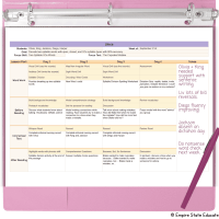 A binder with a four day lesson plan for structured literacy small groups and teacher notes.