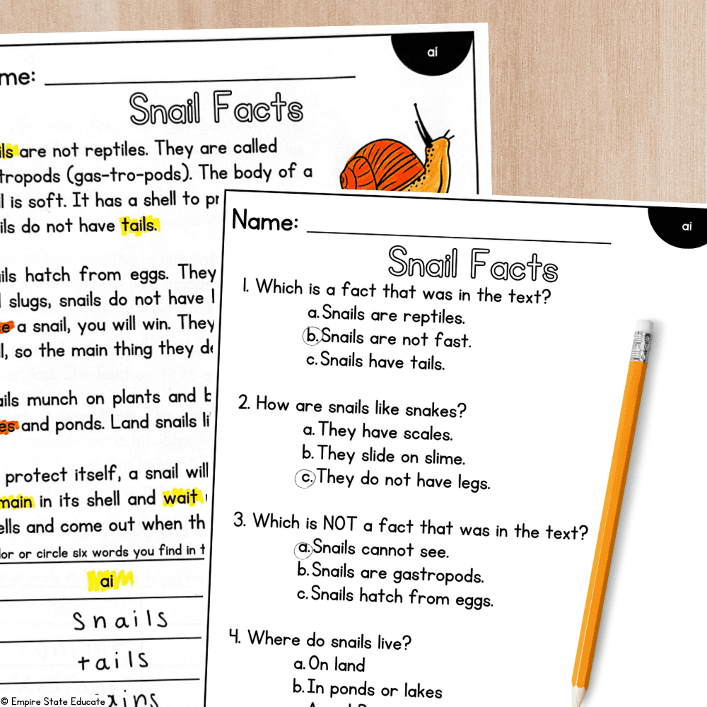 Decodable passage with comprehension questions for reading lessons